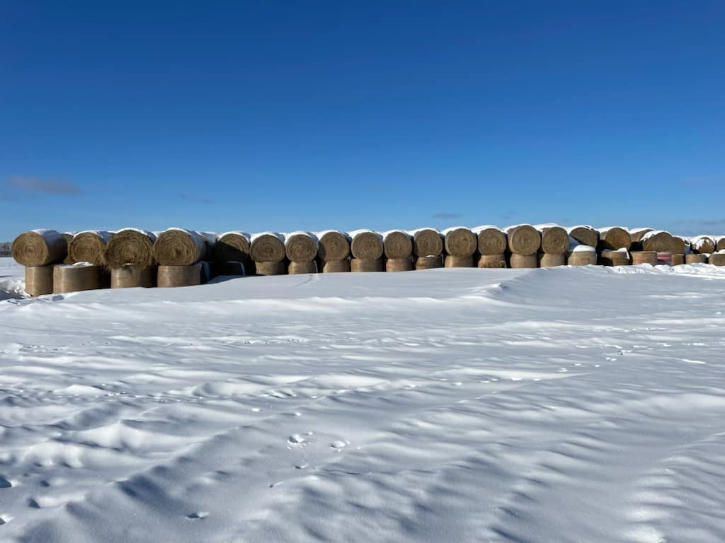 Hay bales Machine Bluebook